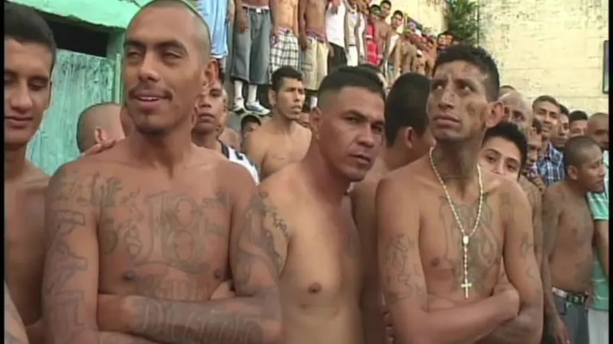 Continúan detenciones de pandilleros