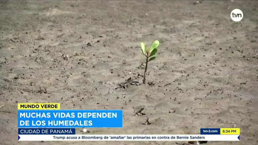 Mundo Verde: Economía Azul y los humedales