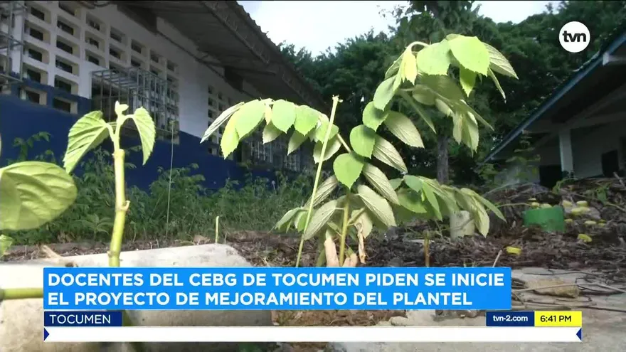 Protestan docentes de escuelas en Tocumen