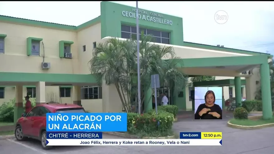 Niño de 4 años muere por picadura de alacrán