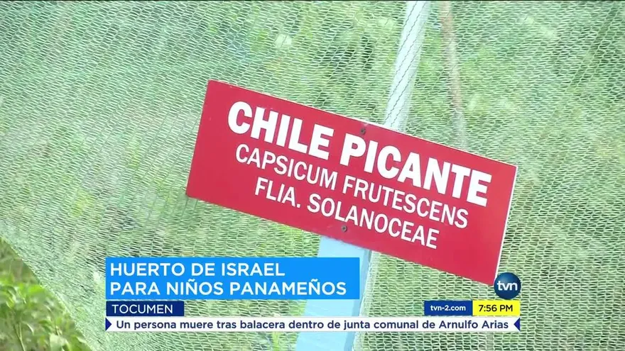 Casa hogar “Metro Amigos” tiene huerto con tecnología israelí