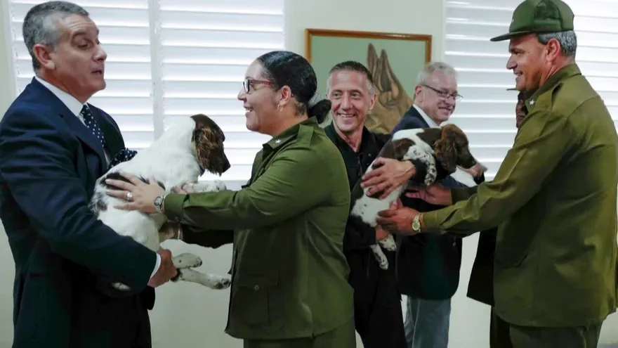Cuba prepara escuadrón de perros para detectar dinero