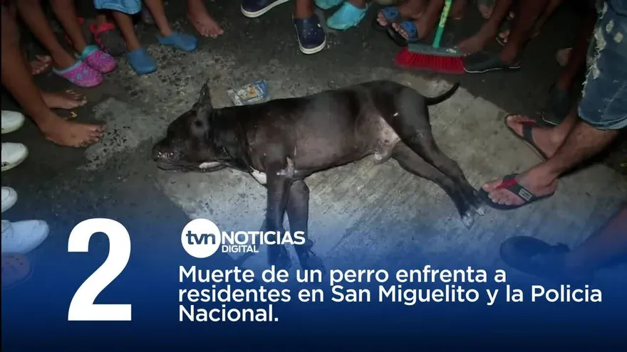 TOP 5 TVN Noticias del 6 de diciembre de 2019