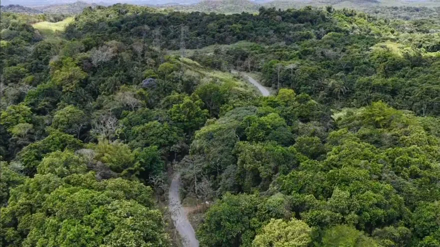 Contenido Exclusivo: Una nueva ruta para el oeste