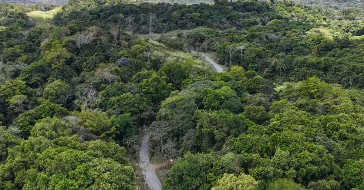 Contenido Exclusivo: Una nueva ruta para el oeste