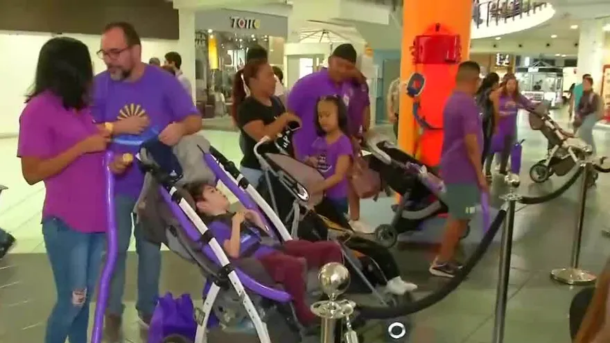 Fundación Luces duplica número de atenciones a pacientes con epilepsia