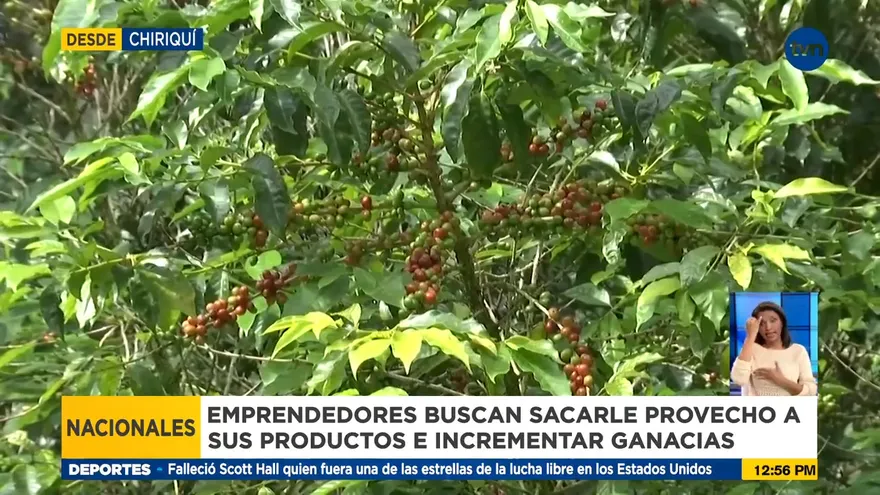 Emprendedores buscan sacarle provecho a sus productos