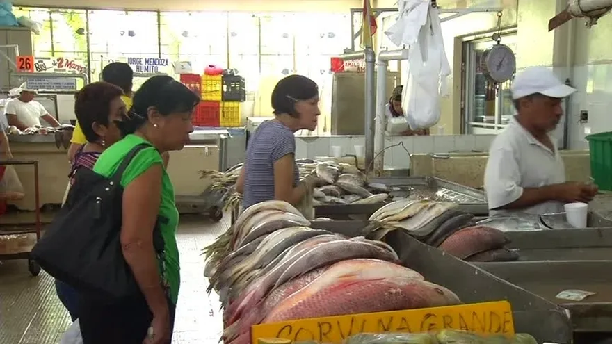 En Panamá se consume más pescado