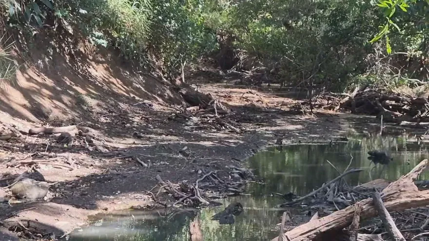 Imhpa advierte desequilibrio climático por exceso de gases contaminantes