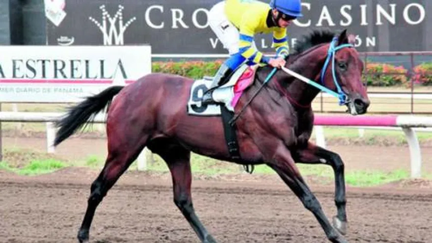 "El Respetuoso" reclamó y ganó el Clásico Felipe Motta