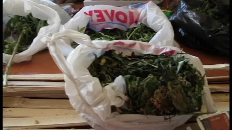 Los jóvenes consumen más marihuna