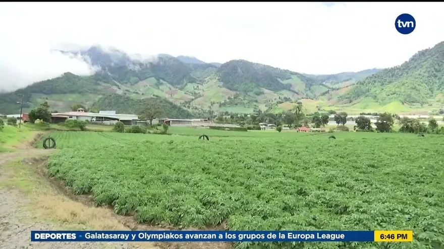 Costa Rica presiona ante la Organización Mundial del Comercio a Panamá