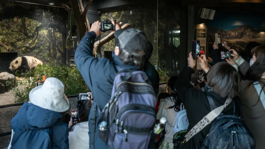 Más de 4,000 personas se despidieron este domingo de los dos pandas más populares del zoológico de Tokio.