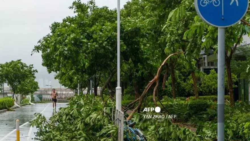 Se ve un árbol caído debido a los vientos del tifón Wipha mientras un corredor (izq.) trota después de la tormenta en Hong Kong el 20 de julio de 2025.