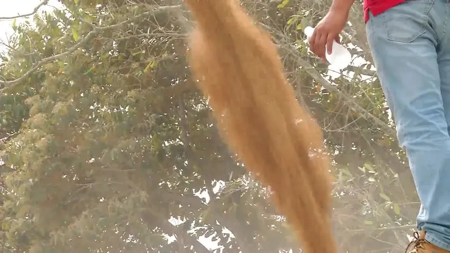 Gobierno no importara arroz durante el 2017