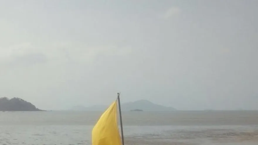 Autoridades emiten alerta por presencia de serpientes marinas en playa Farallón