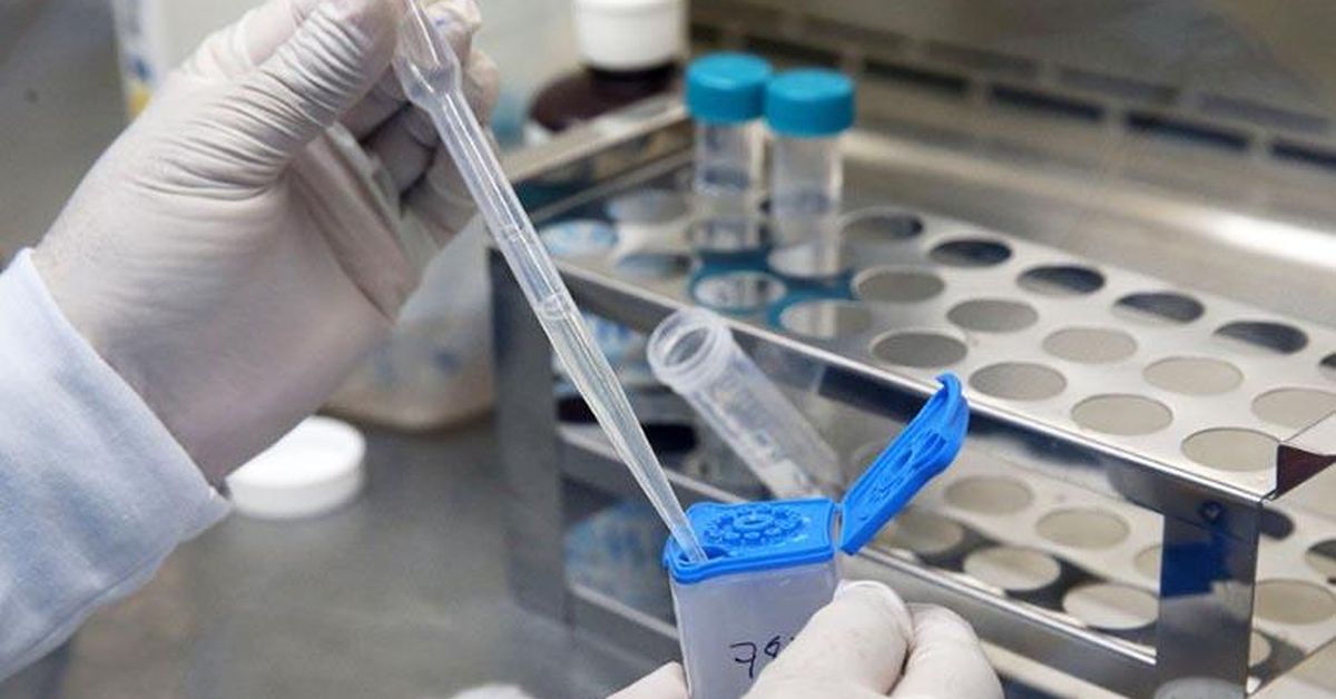 Tuberculosis en Panamá: ¿Victoria a la vista o falsa alarma?