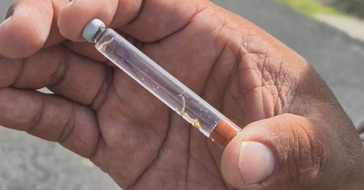 Alerta por brote de dengue en Panamá: Más de 14,900 casos y 25 muertes en 2022