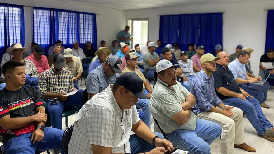 Productores e instituciones analizan retos del sector maicero para el ciclo agrícola 2026-2027