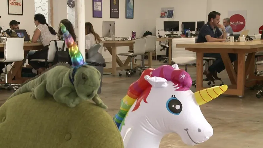 Miami, un ecosistema tecnológico que busca sus propios "iguanacornios"