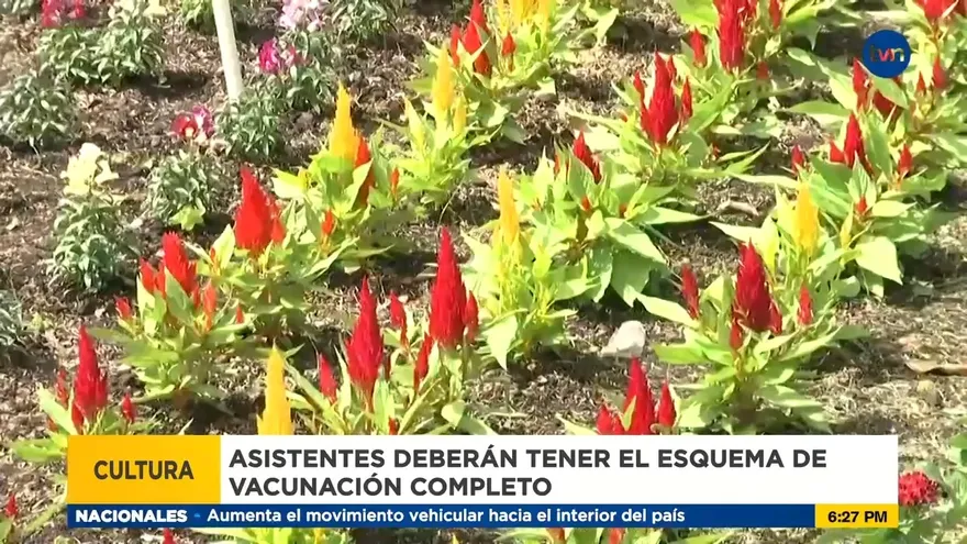 Preparativos para la Feria del Café y las Flores