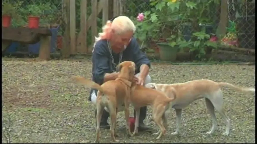 Extranjera denuncia agresión en  Pedasí