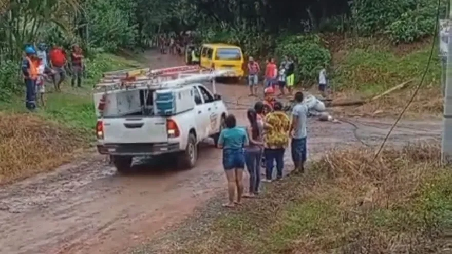 El poste cayó sobre el bus colegial