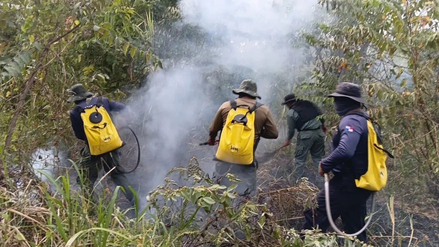 Fuego en Punta Chame fue sofocado antes de afectar áreas cercanas.