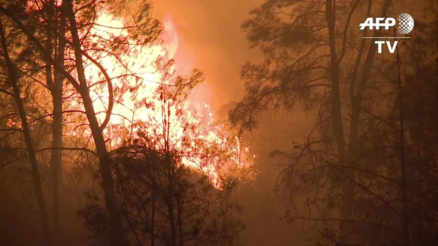 Doce incendios activos en California
