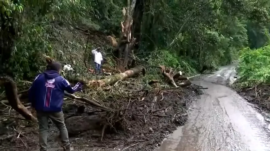 Continúa limpieza en zonas de producción en Chiriquí