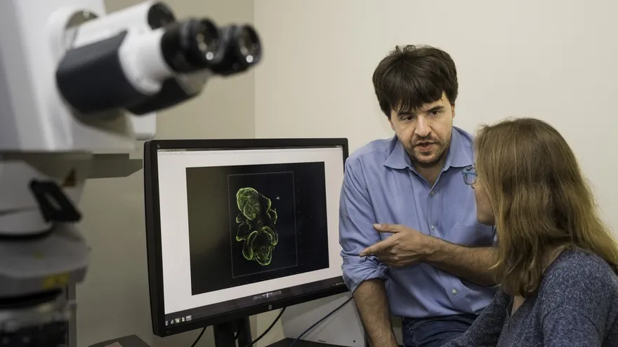 Este campo ayuda a los investigadores a comprender cómo tipos celulares específicos contribuyen a comportamientos como el aprendizaje, el miedo, la adicción y el movimiento, y podría conducir en el futuro a tratamientos para trastornos neurológicos