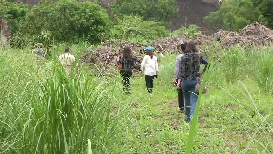 Temen tragedia por deslave en Linda Vista