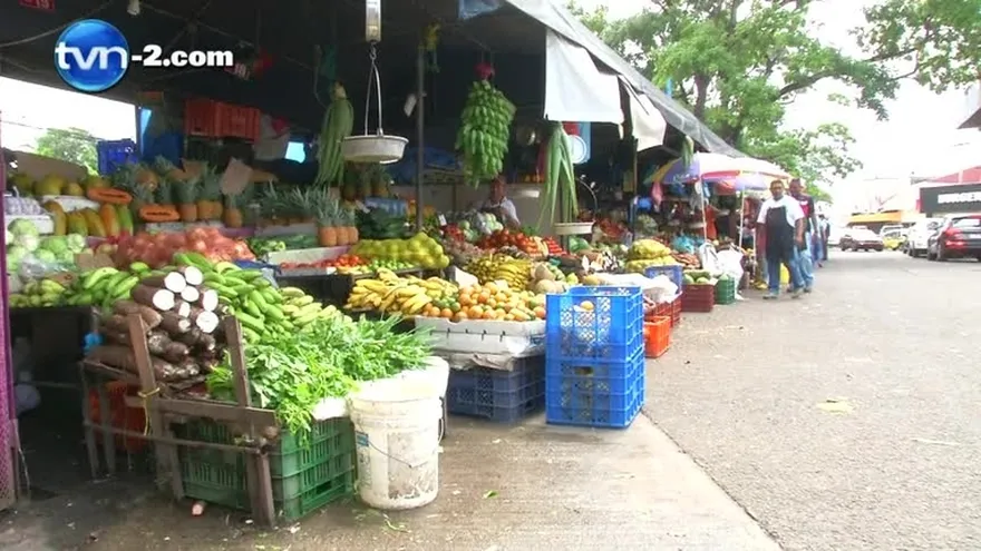 Productos agrícolas llegarán a Panamá el jueves, tras acuerdo con el Mida
