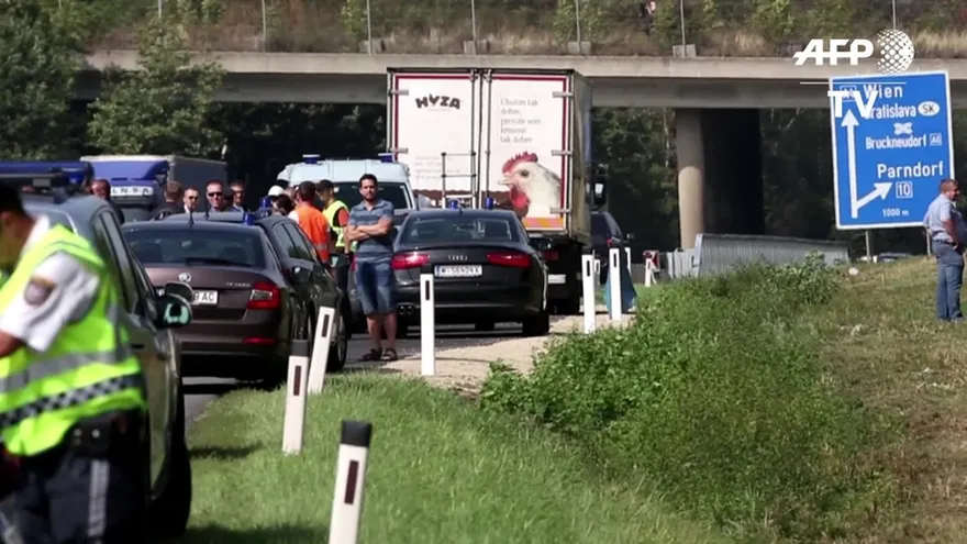 Hallan decenas de migrantes muertos en un camión