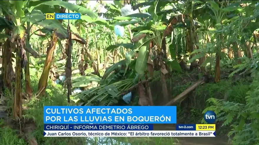 Lluvias causan afectaciones en Chiriquí