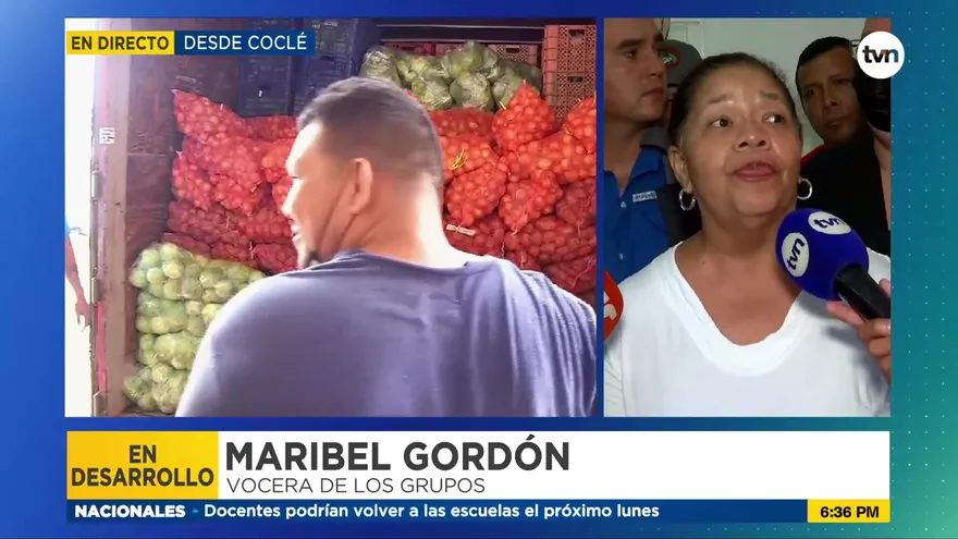 ‘Estamos pidiendo una canasta básica más sana’, dice Maribel Gordón