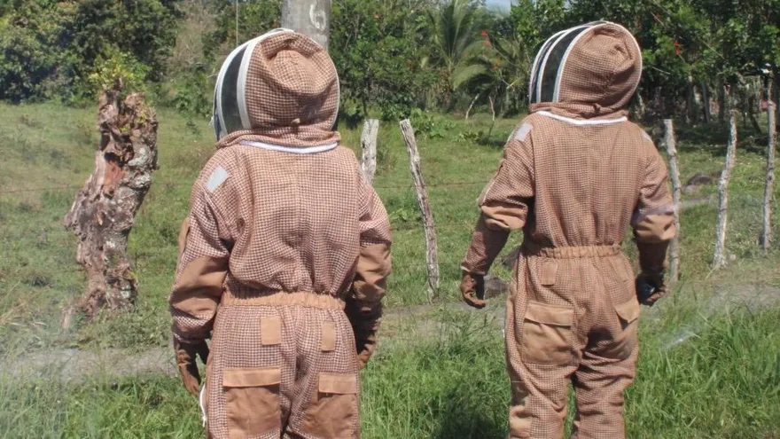 Equipos para protegerse de abejas africanizadas.
