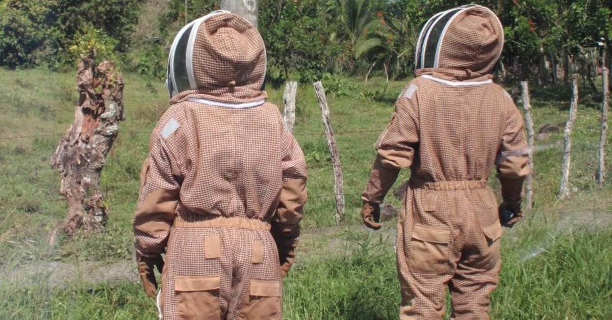 Bomberos en alerta por abejas africanizadas: 3,843 emergencias en 95 días y un fallecido