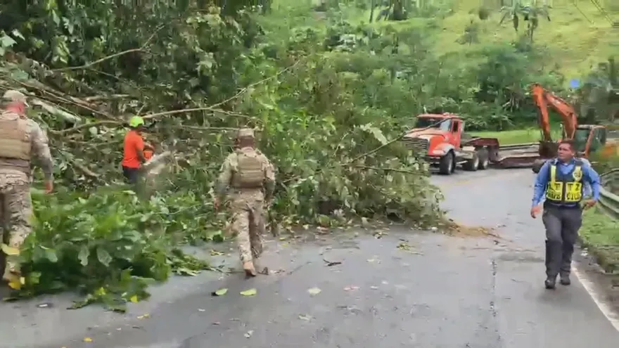 Bocas del Toro| Fuertes vientos afectan cuatro viviendas y derriban 17 árboles en esa provincia