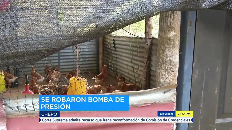 Roban en colegio de Chepo