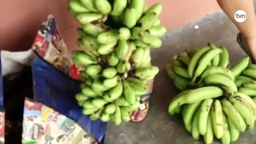 De pueblo en pueblo: Costa Abajo de Colón