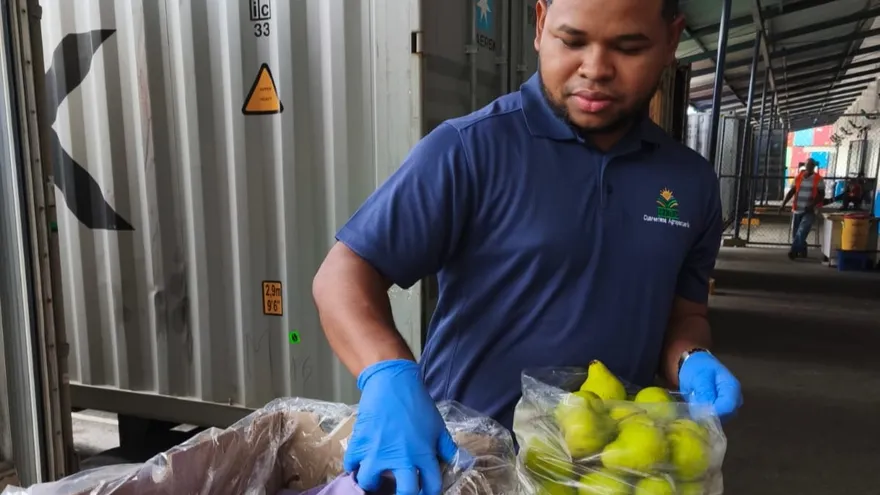 MIDA gestionó más de 11 mil licencias fitozoosanitarias