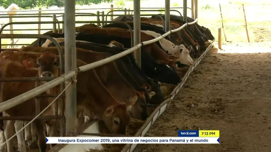 Productores preocupados por exportaciones de carne a China