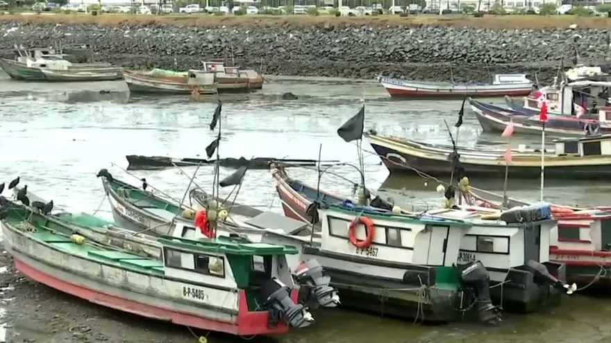 Cientos de viajeros se movilizaron a las islas del Pacífico