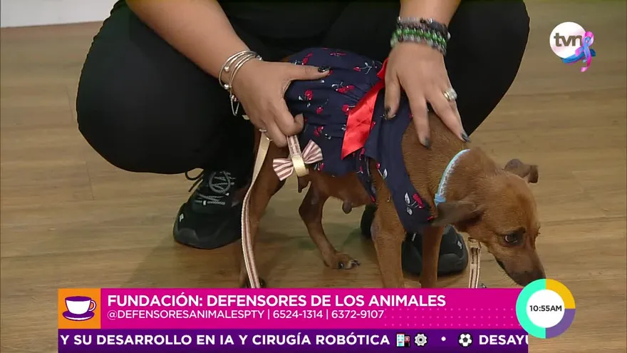 Acompañanos a conocer el caso de Mamita