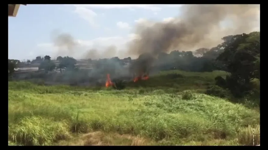 Alerta ante quema de herbazales