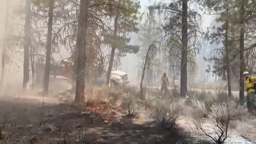 Gran incendio forestal crece en EEUU