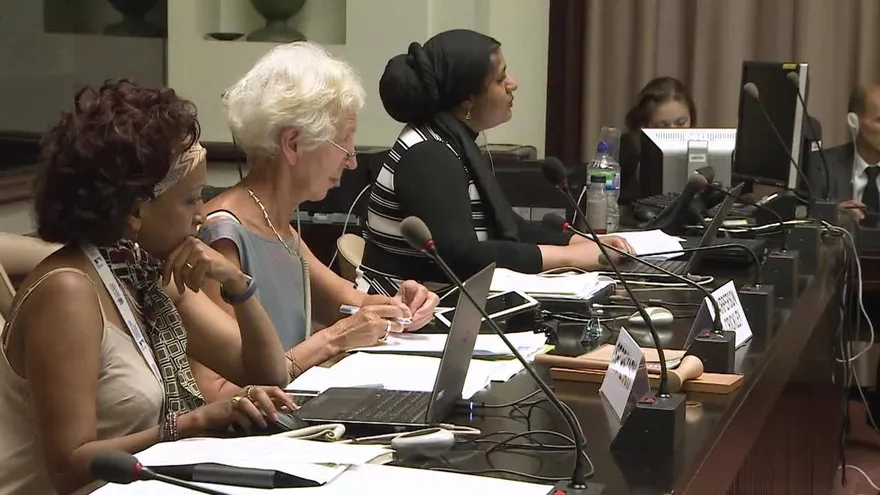 Comité antirracista de ONU lanza advertencia formal a EEUU