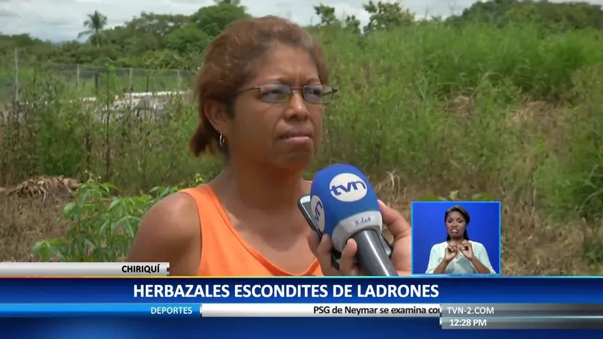 Ladrones, víboras y alacranes ponen en peligro a residentes de La Florida, en Chiriquí