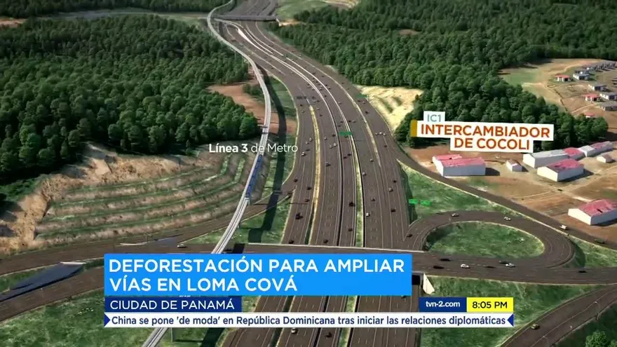 Cuestionan tala de árboles en Loma Cová por proyecto de ampliación